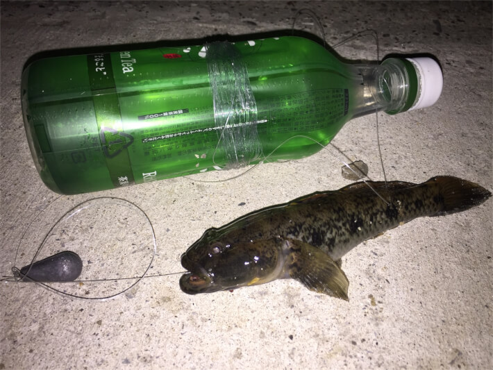 釣り初心者が多摩川のウナギをペットボトル釣法でねらってみた Oretsuri 俺釣