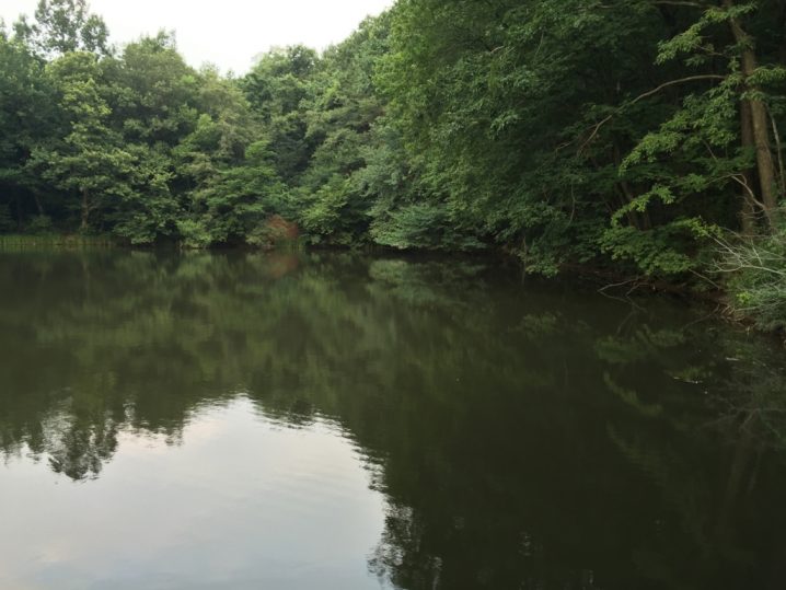 夏休みに地元の野池でバス釣りをしながら高校時代を回想してみた話 Oretsuri 俺釣