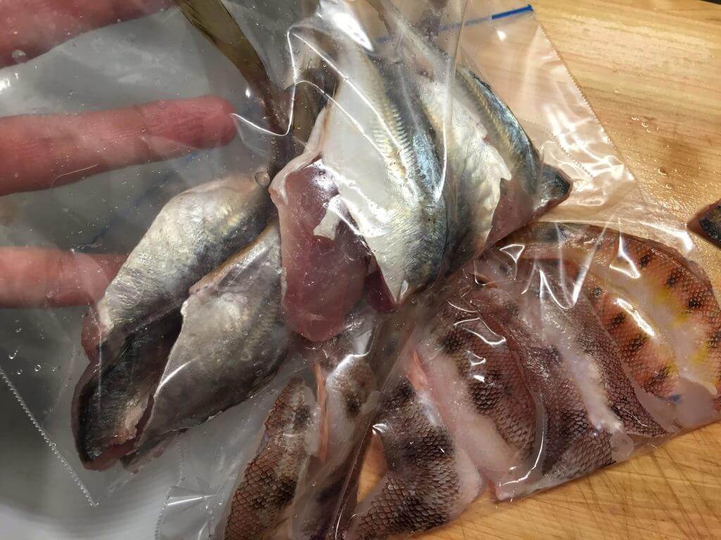実はうまい トラギス の種類 釣り方 料理レシピ Oretsuri 俺釣