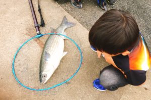 釣りに ハマらない人 の6つの特徴 Oretsuri 俺釣