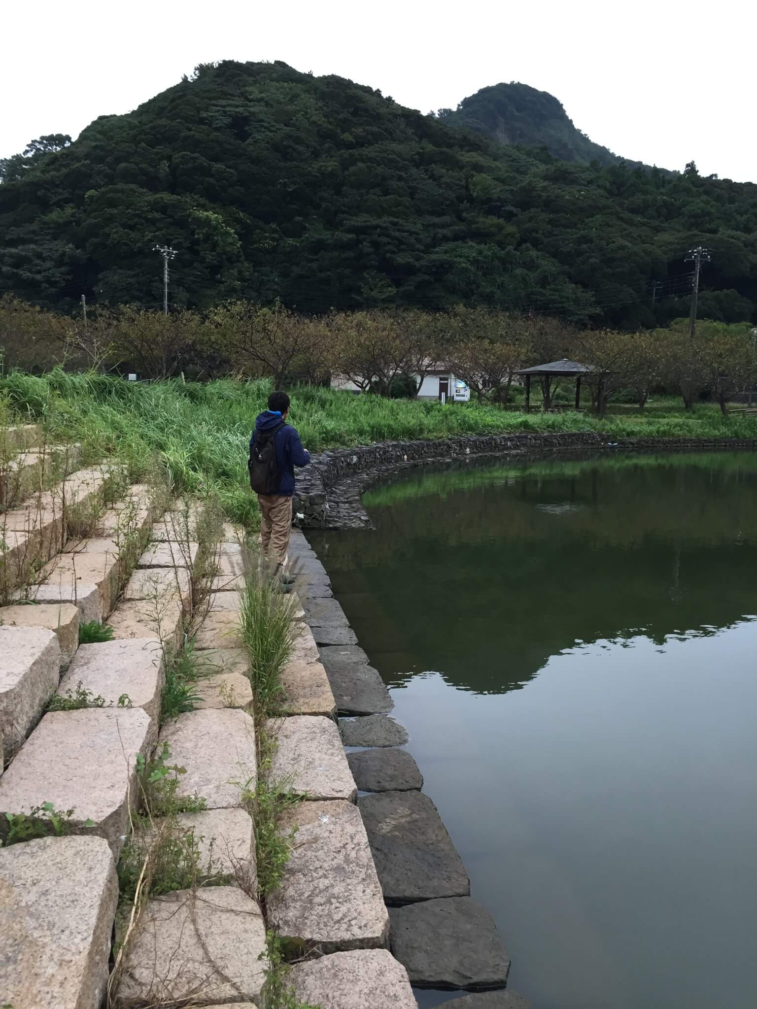 千葉野池