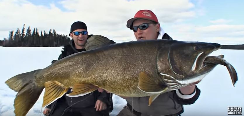 Giant Tip-up Laker - iTrout (Part 2 of 3) - Uncut Angling - January 3, 2013