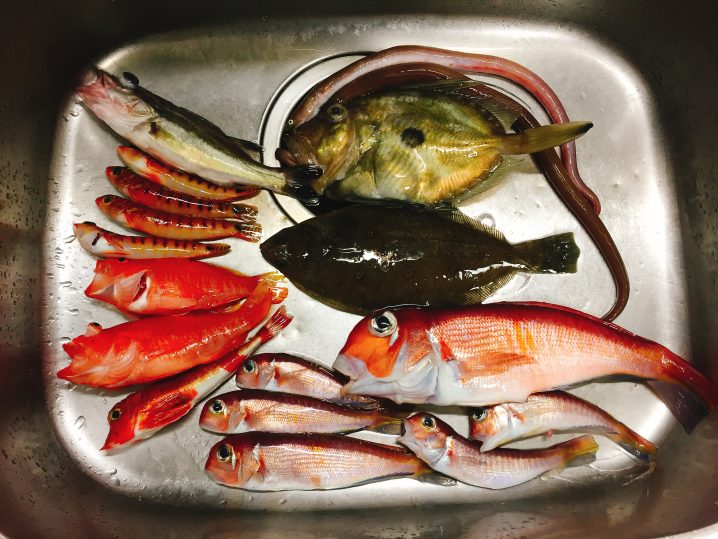相模湾ltアマダイで釣った8種の魚を料理してみた Oretsuri 俺釣
