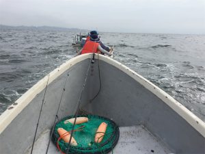 三浦半島 金田湾 ボート釣り