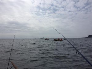 三浦半島 金田湾 ボート釣り 泳がせ釣り
