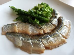 三浦半島 金田湾ボート 釣り サヨリ 酢醤油