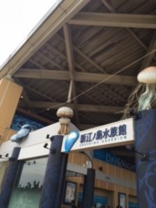 江の島 水族館 夏休み親子釣行