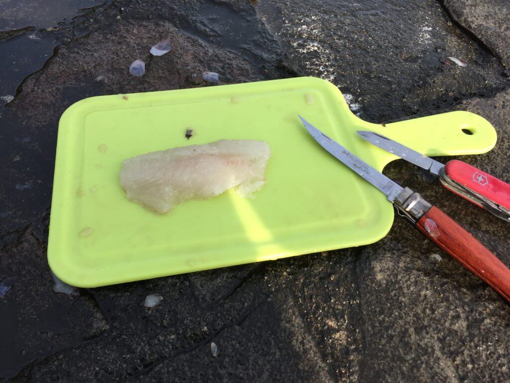 メメズ浜で釣ったブダイの刺身