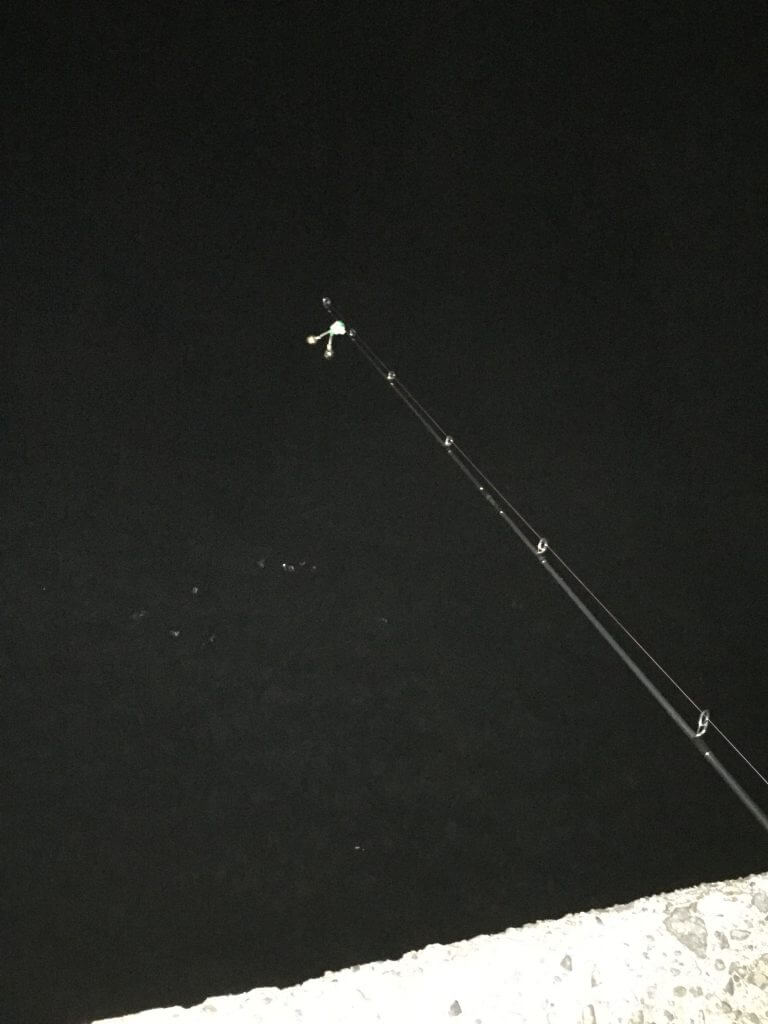 富浦で夜釣り