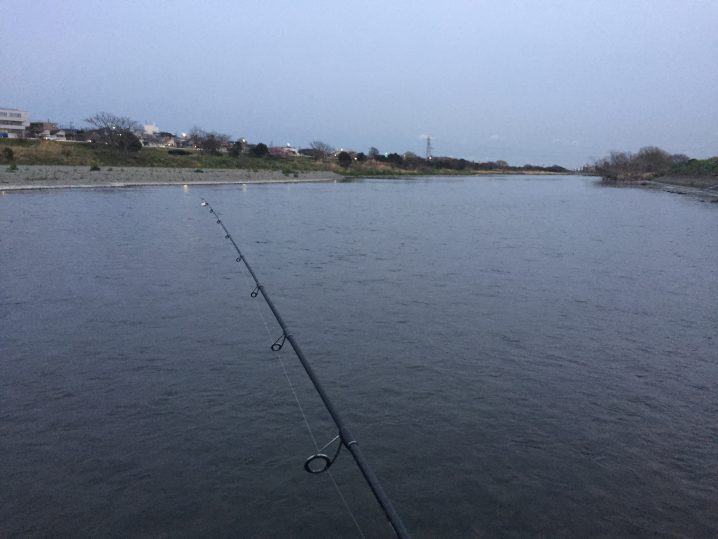 多摩川中流域へマルタウグイを釣りにいってみた Oretsuri 俺釣