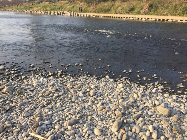 多摩川中流域の瀬