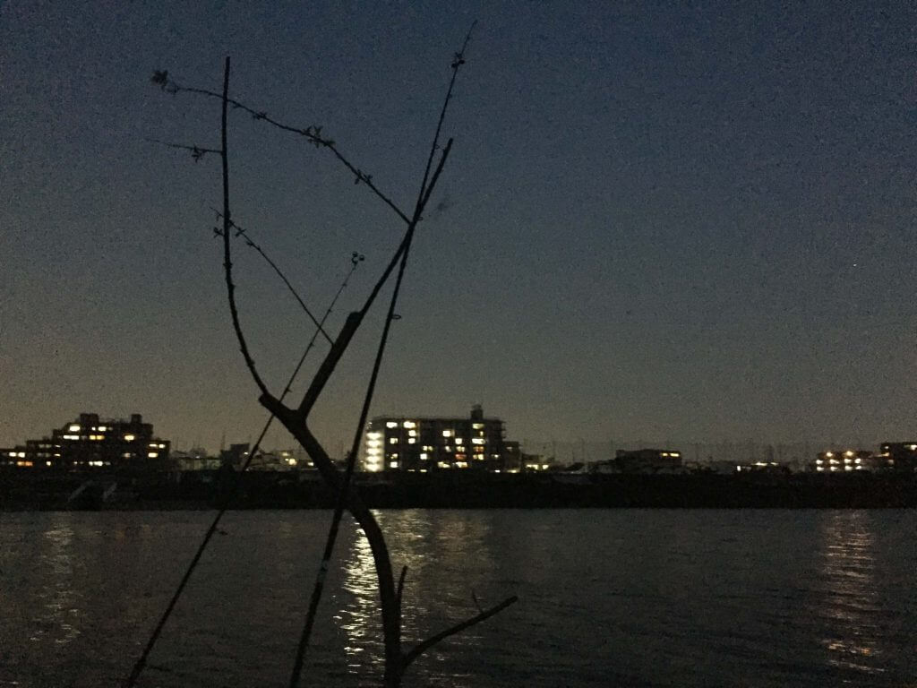 夕まずめウナギ釣り