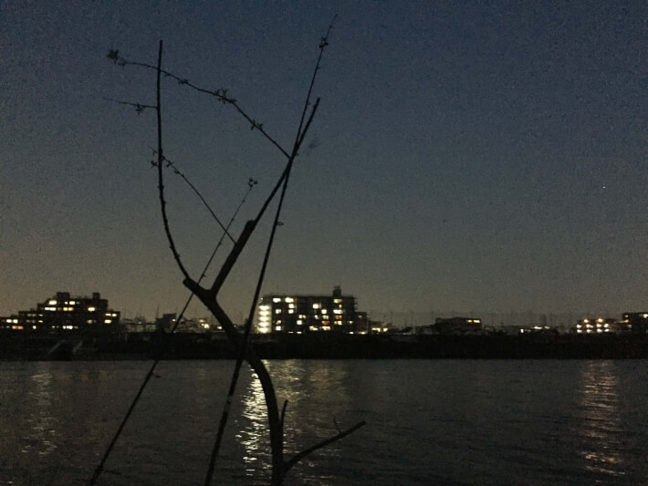 夕まずめウナギ釣り