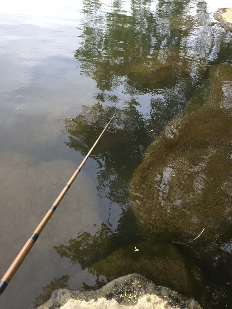 多摩川 かわさき水辺の楽校 でのべ竿のんびり釣行 Oretsuri 俺釣