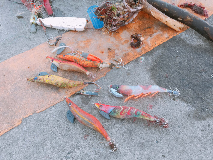エギ 釣れる