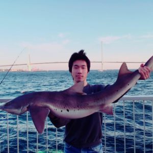 東京湾ドチザメ釣り