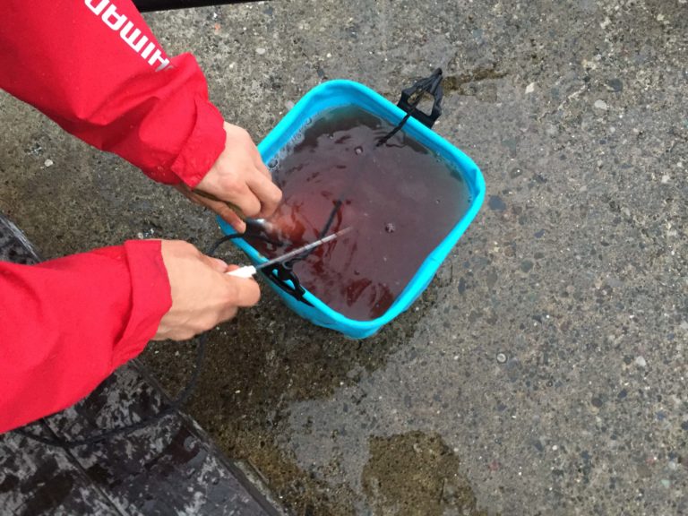 釣った魚をもっと美味しく食べるコツ!4つの工程で徹底解説 ORETSURI 釣った魚をもっと美味しく食べるコツ!4つの工程で徹底解説 ORETSURI