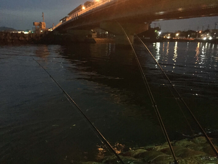 田越川河口で釣り