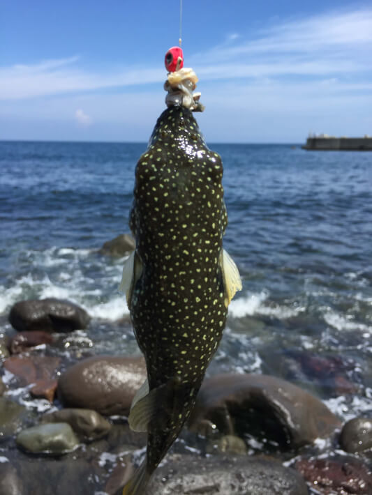 ジグヘッド サバの切り身 クサフグ Oretsuri 俺釣