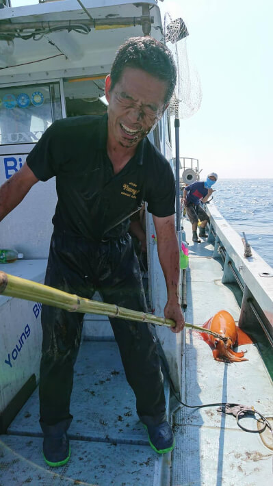 赤イカ ソデイカ を確保 Oretsuri 俺釣