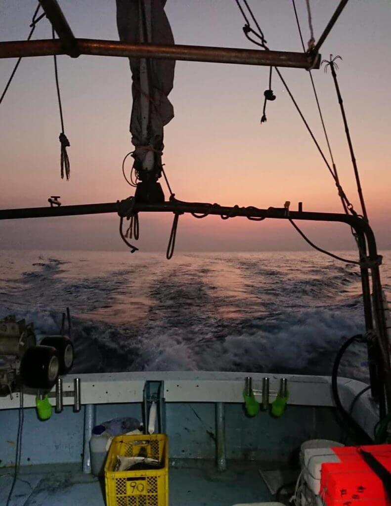 アカイカ（ソデイカ）漁へ夜明けの出港