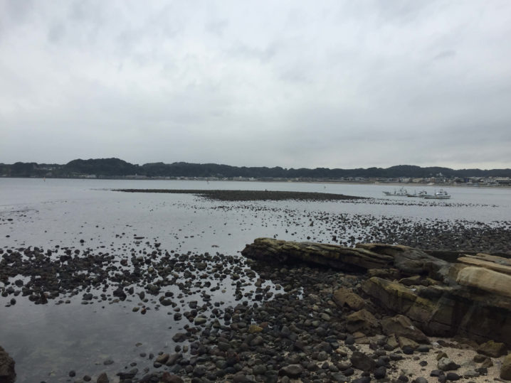 ギンポ天国とウワサの和賀江島に上陸して釣りをしてみた Oretsuri 俺釣