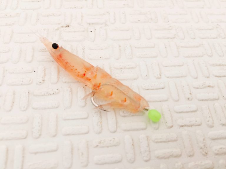 万能の神餌!「オキアミ」の種類と釣れる魚・使い方を解説する | ORETSURI