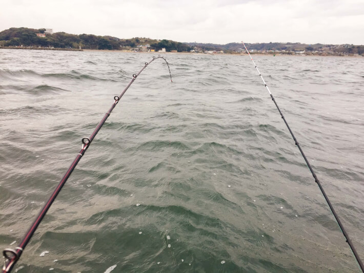 金田湾のボート釣り