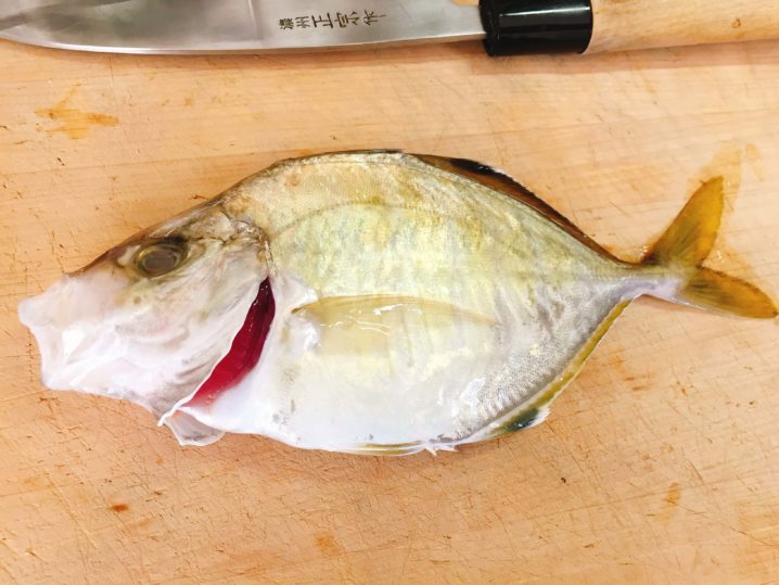 城ケ島沖で釣ったカイワリをポワレにしてみた Oretsuri 俺釣