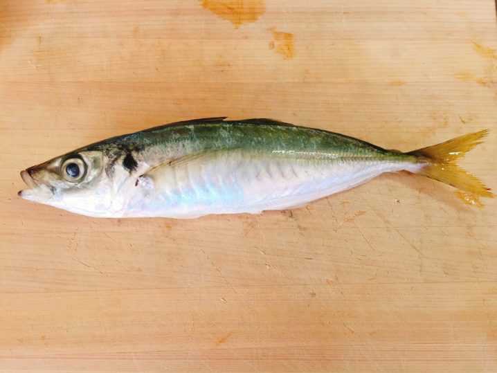 釣れるとがっかりしてない マルアジの干物はうまいよ Oretsuri 俺釣