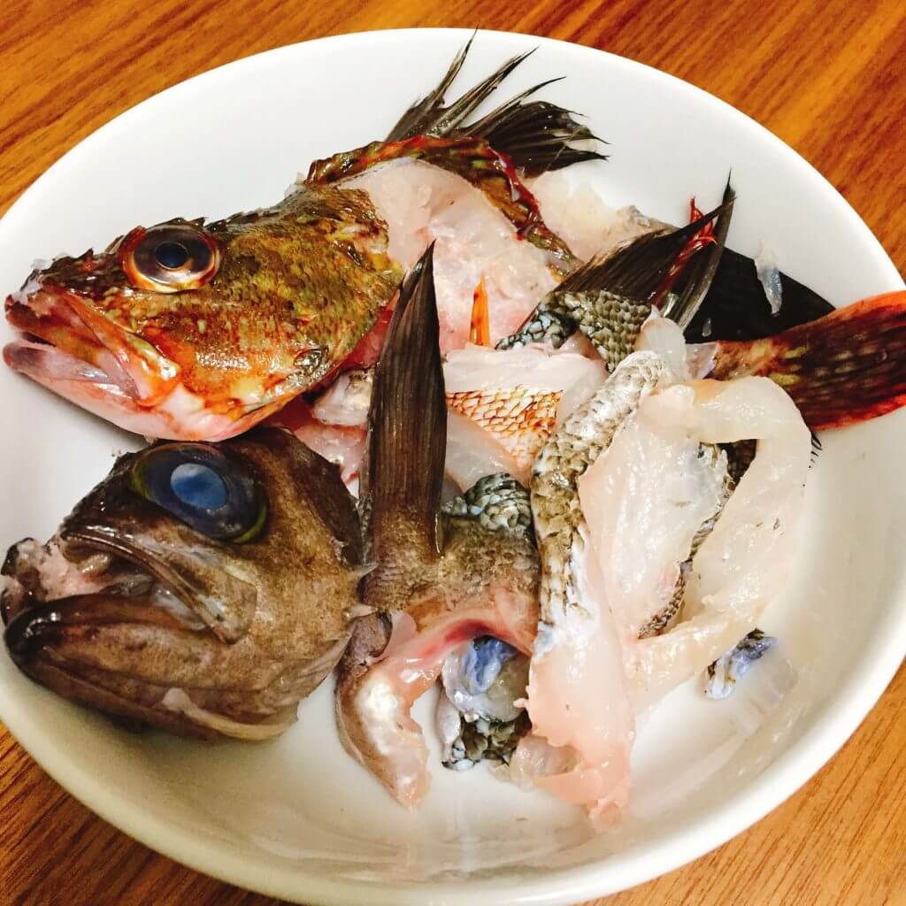 神奈川でもドンコが釣れる ドンコ汁という名のカサゴ メバル汁をつくってみた Oretsuri 俺釣