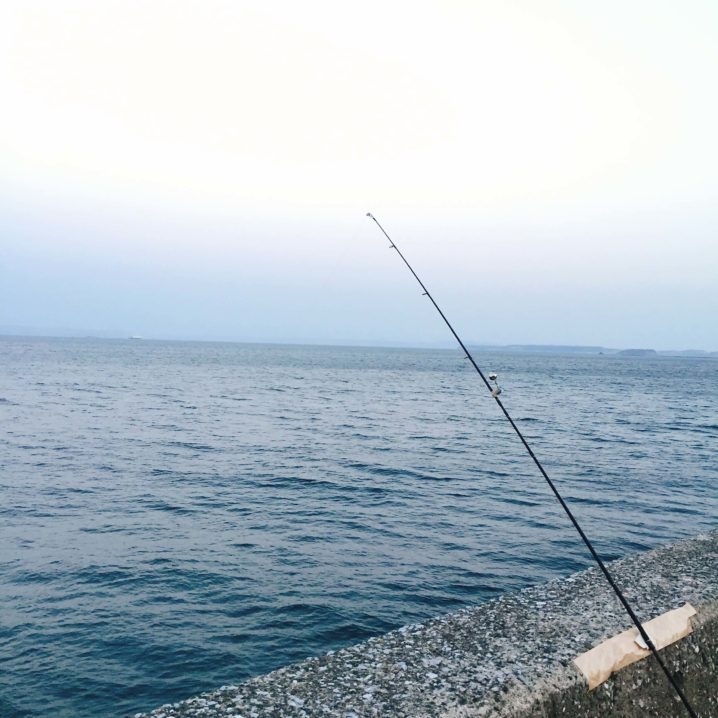 堤防や岸壁からマゴチを釣る方法 タックル コツの解説 Oretsuri 俺釣