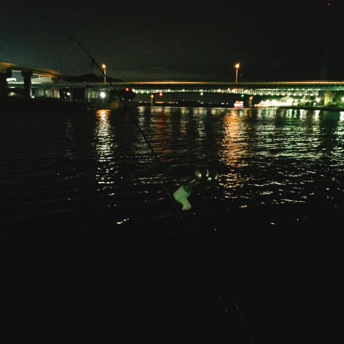 八景島対岸　夜釣り