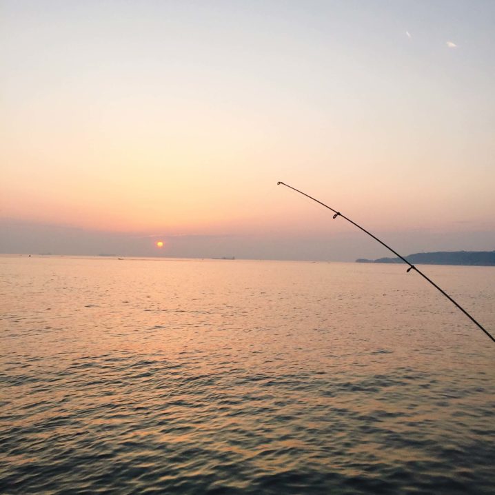 東京湾の幻 マコガレイ を釣りにいってみた 横須賀うみかぜ公園 Oretsuri 俺釣