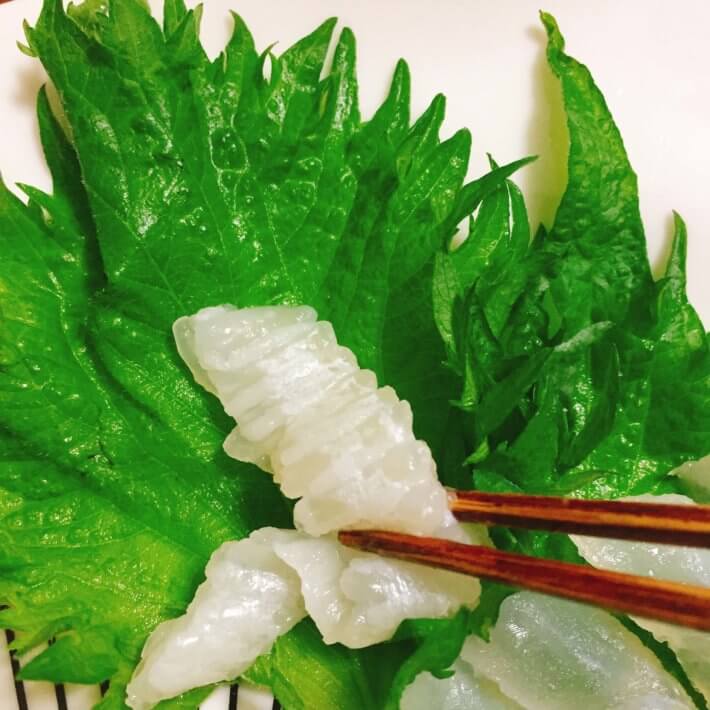 釣り料理 マコガレイのエンガワの刺身 Oretsuri 俺釣 釣り料理 マコガレイのエンガワの刺身 Oretsuri 俺釣