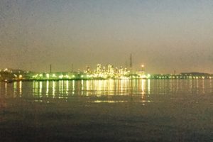 【2022年】横浜・根岸港（根岸湾）の釣り場解説（釣れる魚・ポイント・釣り禁止情報）