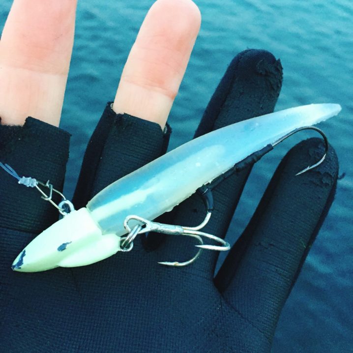 はて編集長 横須賀の指5本タチウオの話はどうなったんだね Oretsuri 俺釣