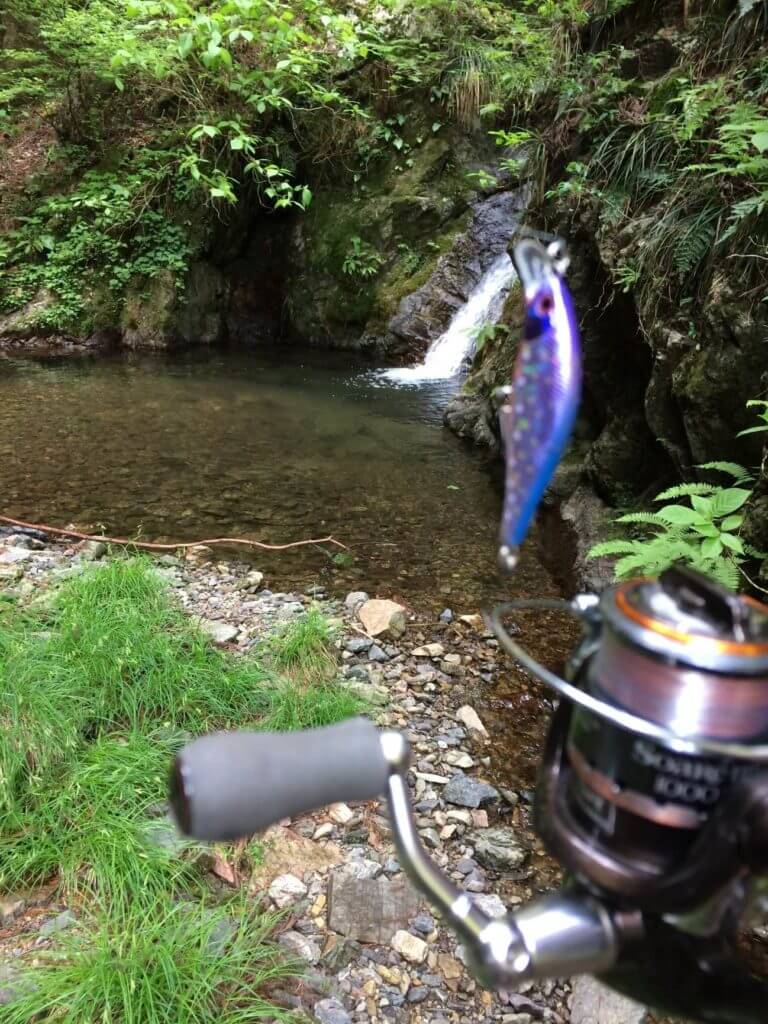 釣り　成木川大滝で魚影発見