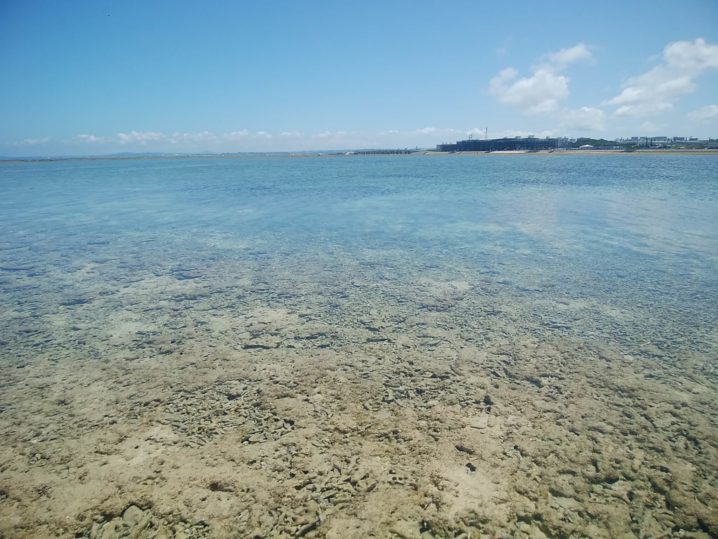 沖縄釣り禁止情報 沖縄の漁港で釣りするときに注意したい点 Oretsuri 俺釣