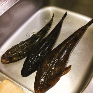 独自 高級魚 マゴチ 料理レシピ大全 41種 釣れたら色んな食べ方で楽しもう Oretsuri 俺釣