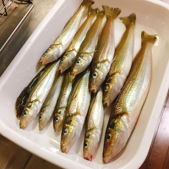 独自 シロギス料理レシピ大全 17種 釣りたてなら天ぷら以外にも色んな食べ方がある Oretsuri 俺釣