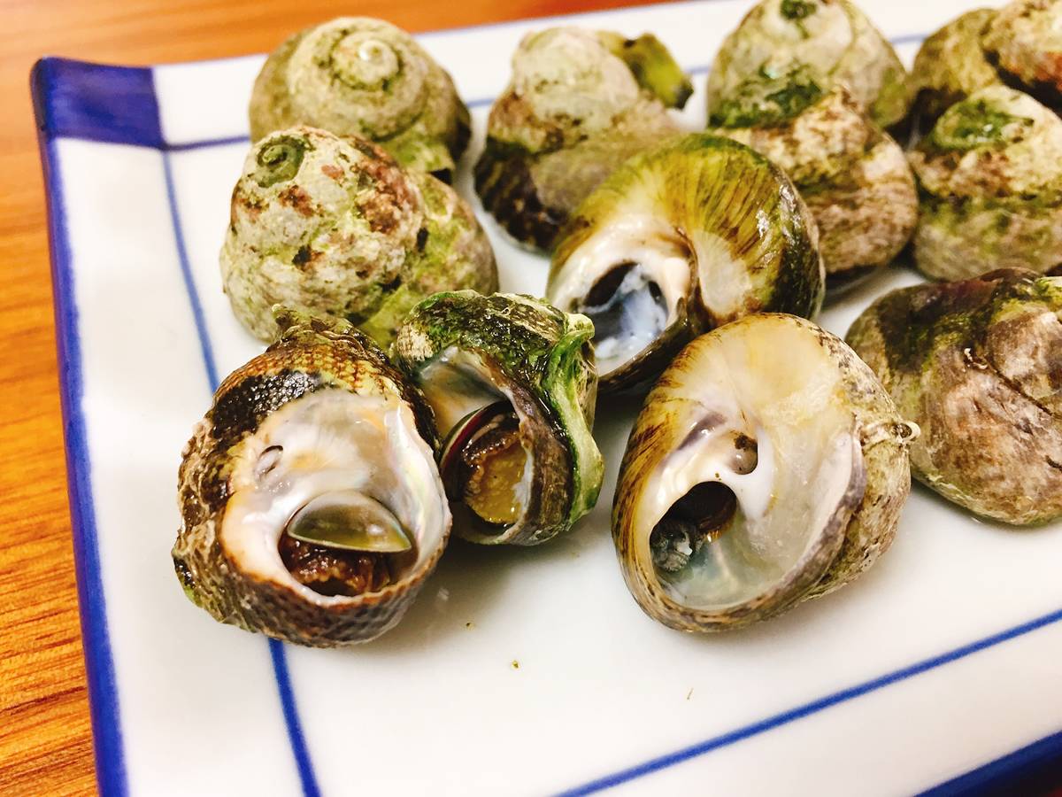 お前は本当の貝の味を知らない クボガイ という野良貝をとって食べてみた Oretsuri 俺釣