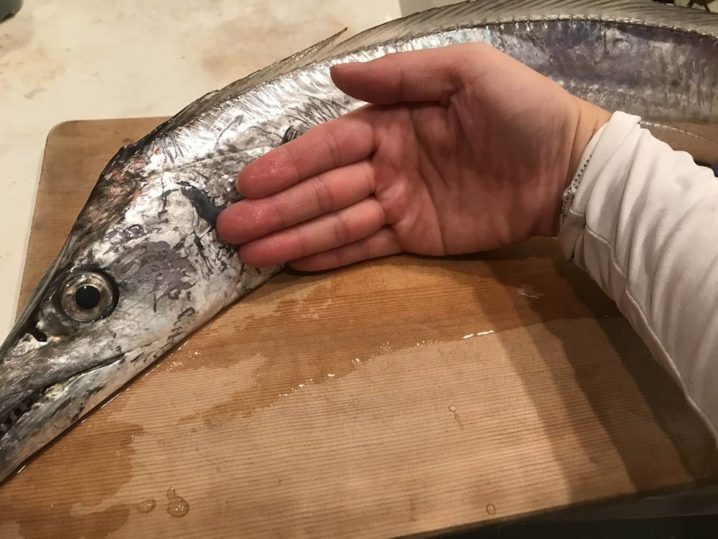 いでよシェンロン 遅咲きの船釣りルーキーがドラゴン級タチウオを仕留めた話 Oretsuri 俺釣