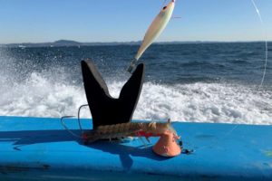 青魚 赤身の魚を釣って食べる人は ヒスタミン 食中毒に注意 原因 症状 対策 Oretsuri 俺釣