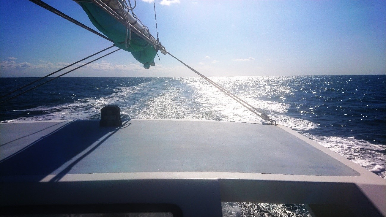 下処理をしたマダイ