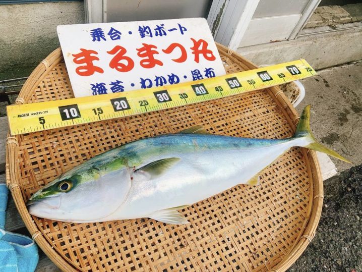出世魚「ワカシ」「イナダ」「ワラサ」「ブリ」の違いを解説!(釣り人目線) | ORETSURI