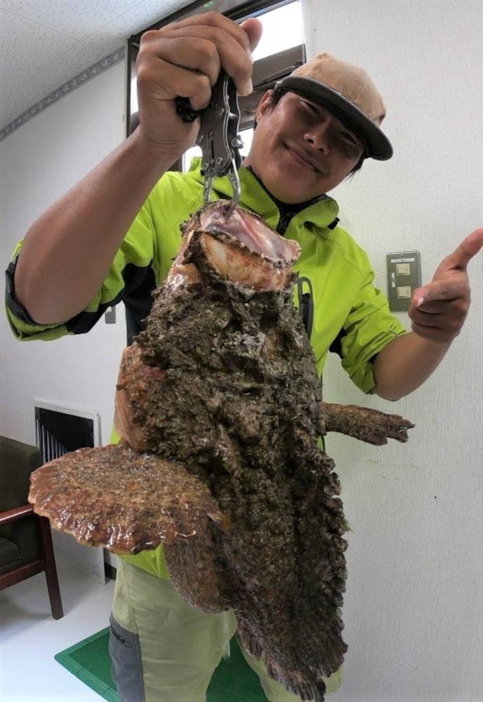 猛毒魚 巨大オニダルマオコゼを釣って沖縄そばにして食べてみた Oretsuri 俺釣