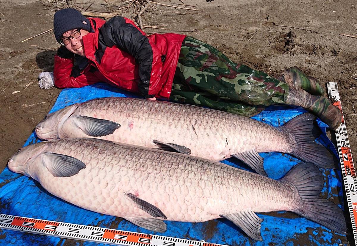 アオウオと釣り人 Oretsuri 俺釣