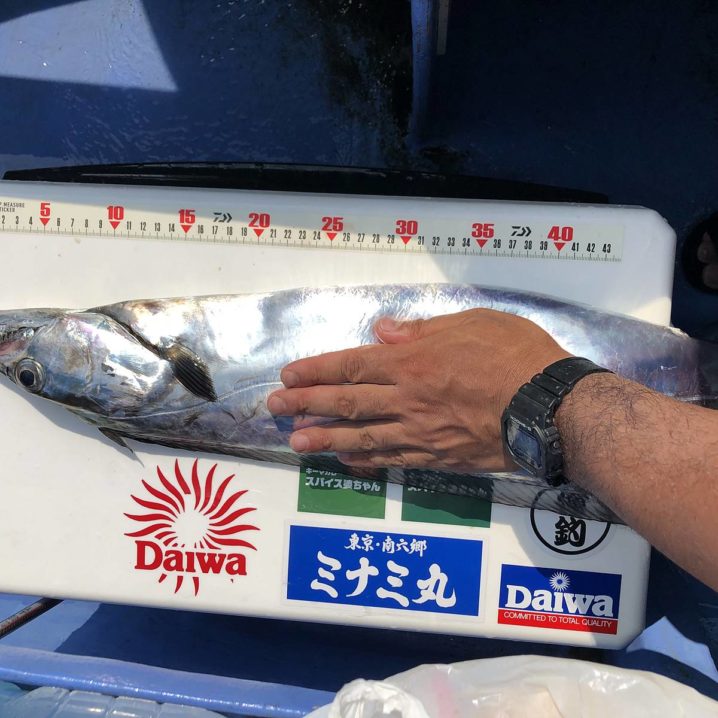 ドラゴンがバンバン釣れる 東京湾のタチウオをテンヤで狙う Oretsuri 俺釣