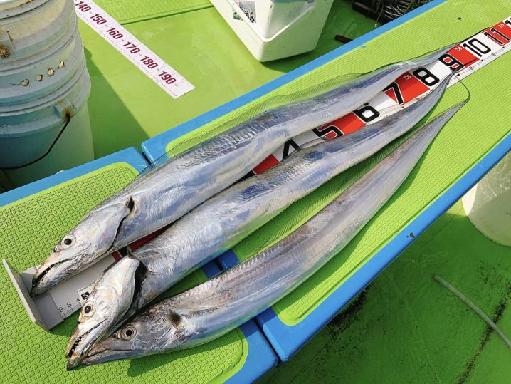 東京湾の 夏タチウオ で釣果を倍増 タックル 釣り方のコツを解説 Oretsuri 俺釣